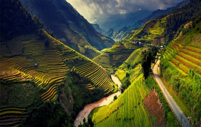 mu cang chai 4 min 7700