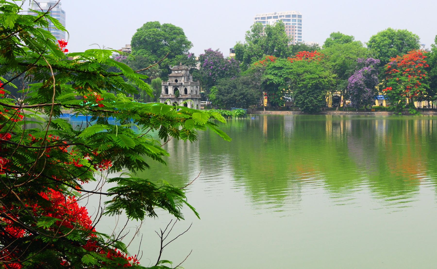 thap rua ha noi2